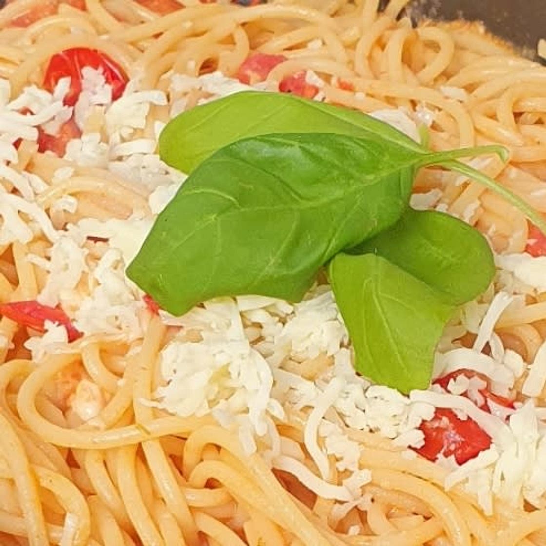 Burrata Pasta 🍝