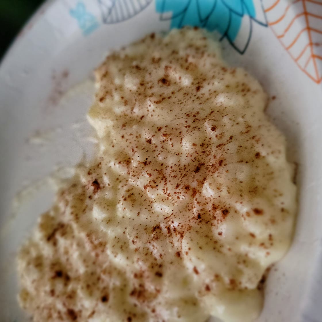Old Fashioned Creamy Rice Pudding
