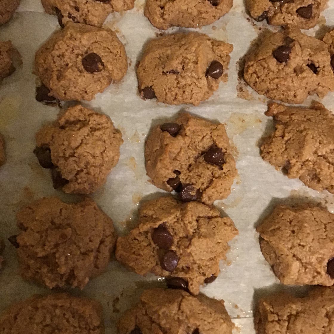 BEST EVER PROTEIN COOKIES