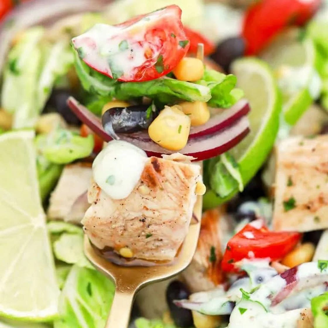 Mexican Inspired Grilled Chicken Salad with Creamy Honey Lime Dressing Recipe