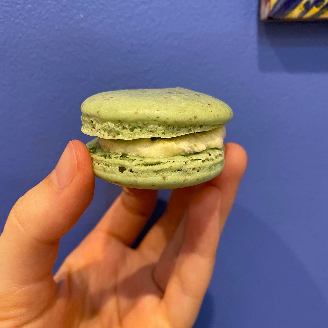 Pistachio Macarons