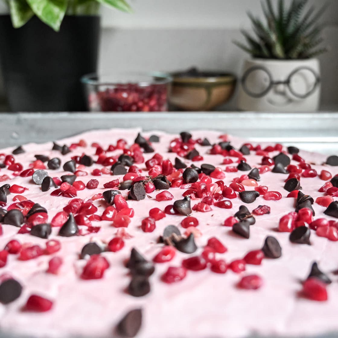 Dark Chocolate Pomegranate Frozen Yogurt Bark
