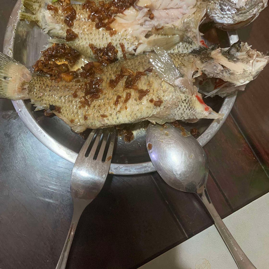 Steamed fish w garlic sauce 