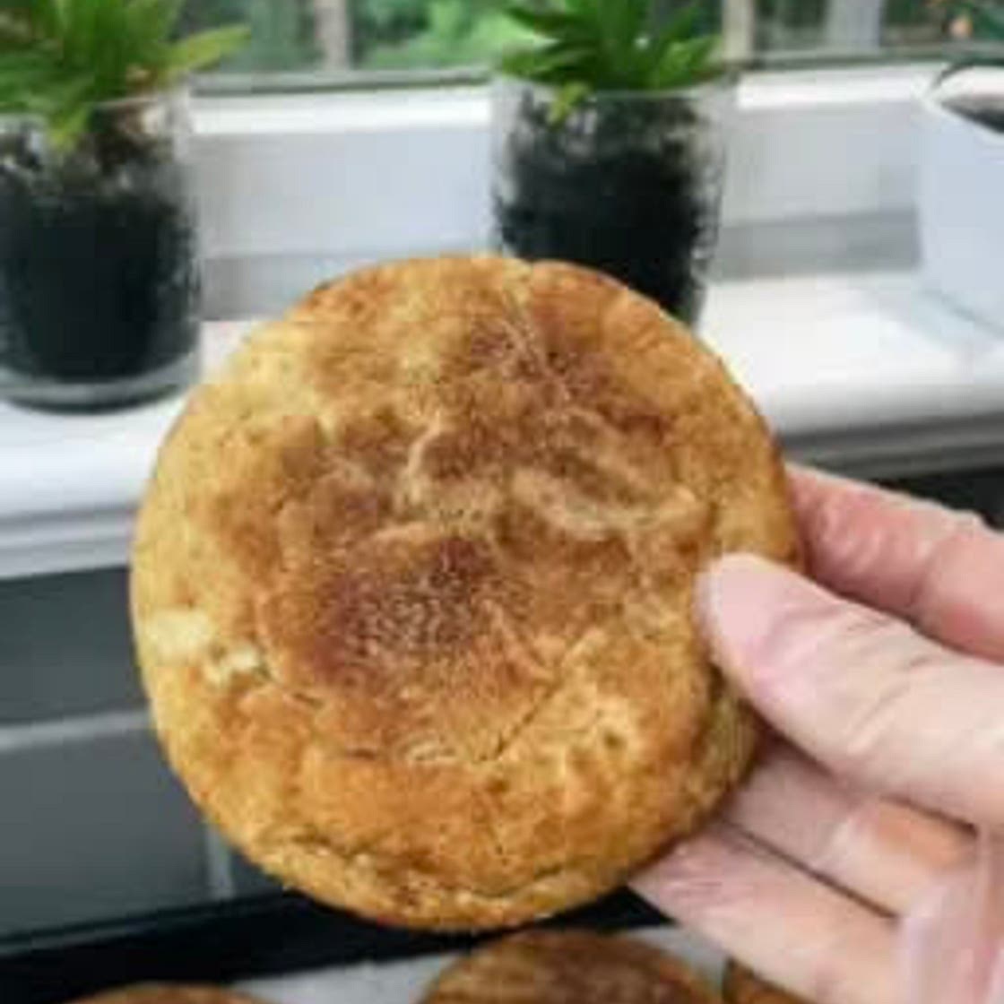 Snickerdoodle cookies by tristin womack