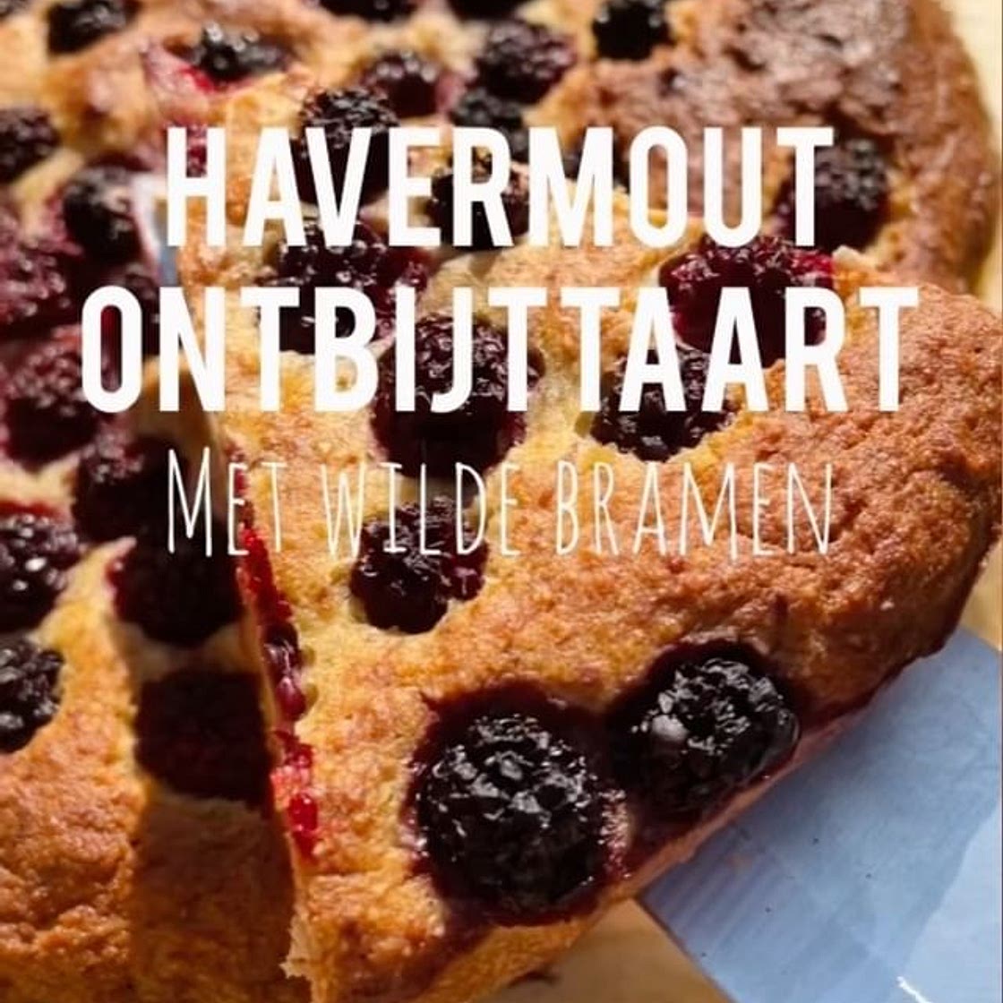 HAVERMOUT ONTBIJTTAART MET WILDE BRAMEN 🥧 (Glutenvrij)