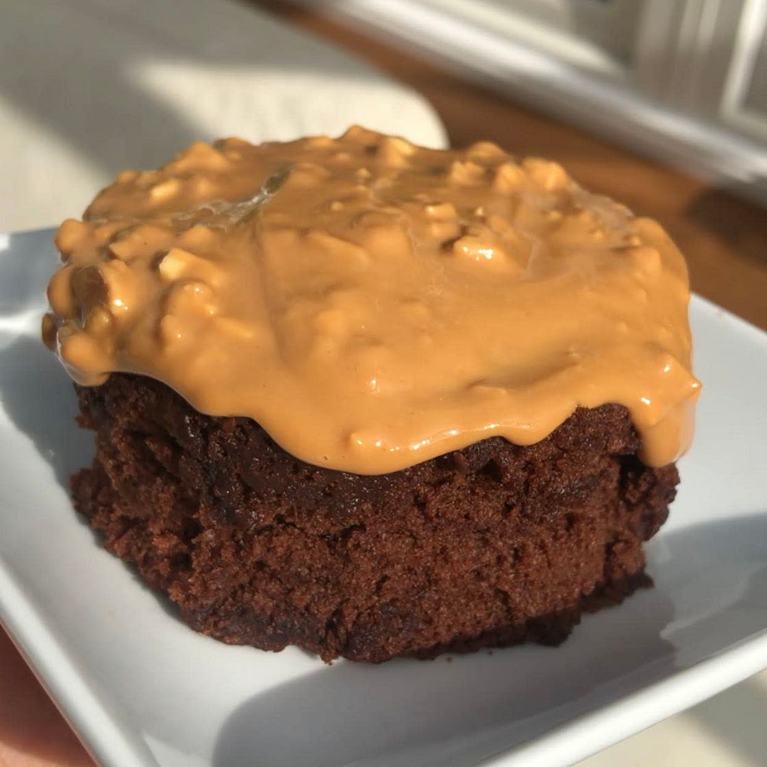 233cal Reeses cup mug cake. 20g protein