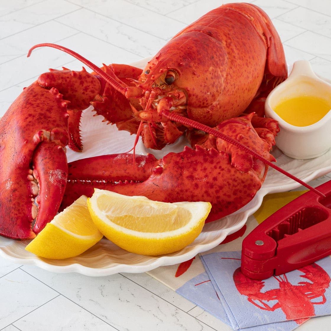 Nova Scotia Creamed Lobster