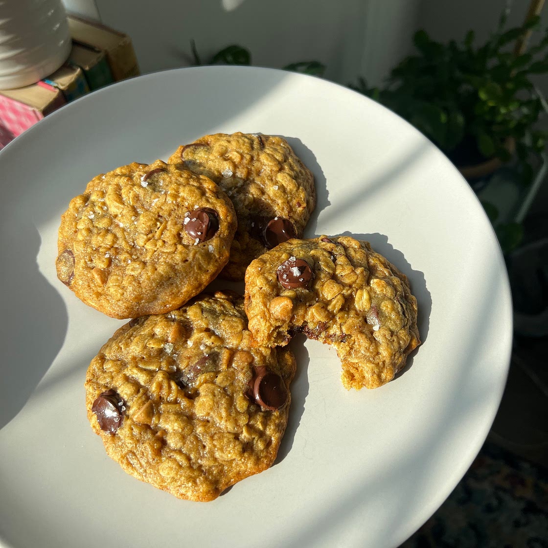 Pumpkin Spice Brown Butter Oatmeal Cookies