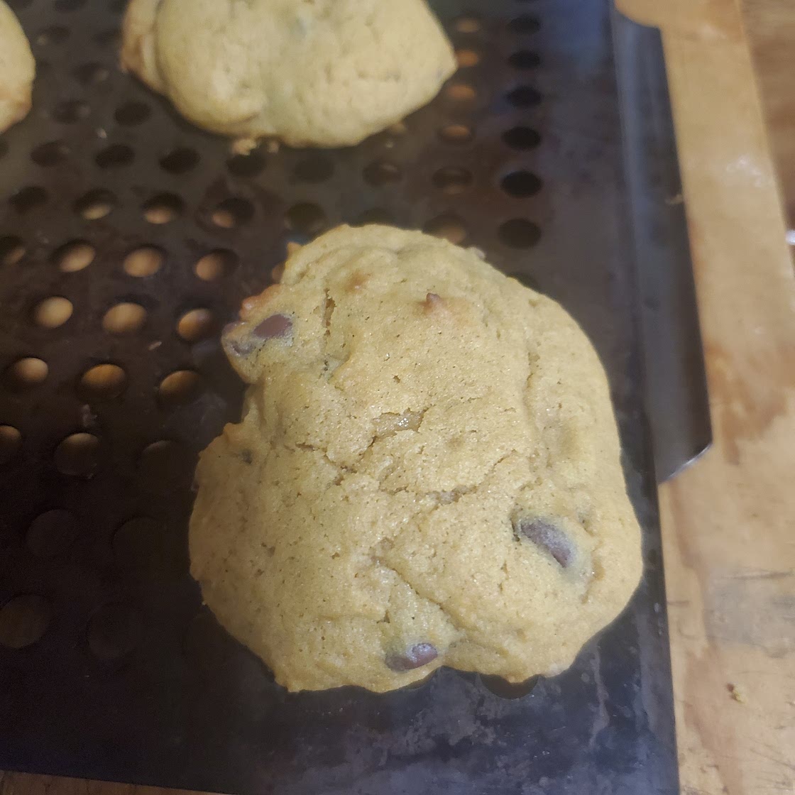 Pumpkin Chocolate Chip Cookies