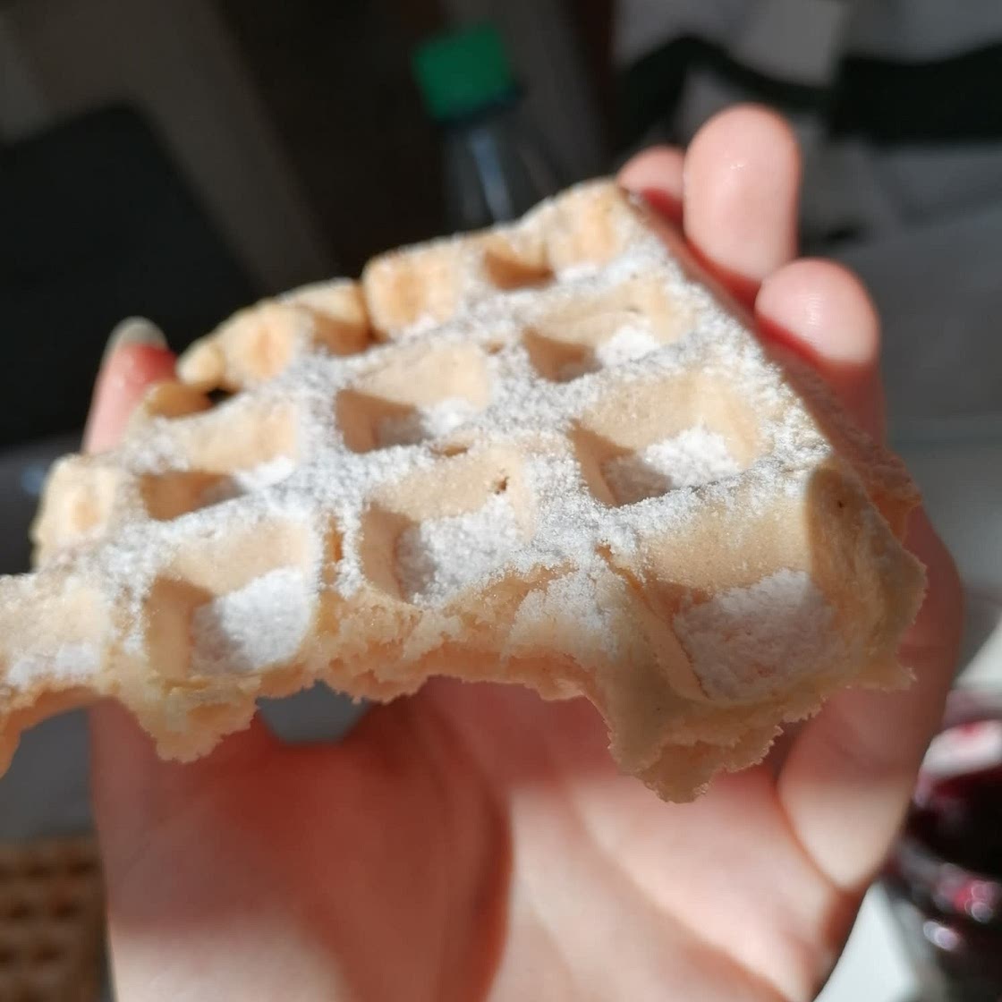 Vegan Waffle Recipe (Dairy Free, Egg Free, Gluten Free Option)