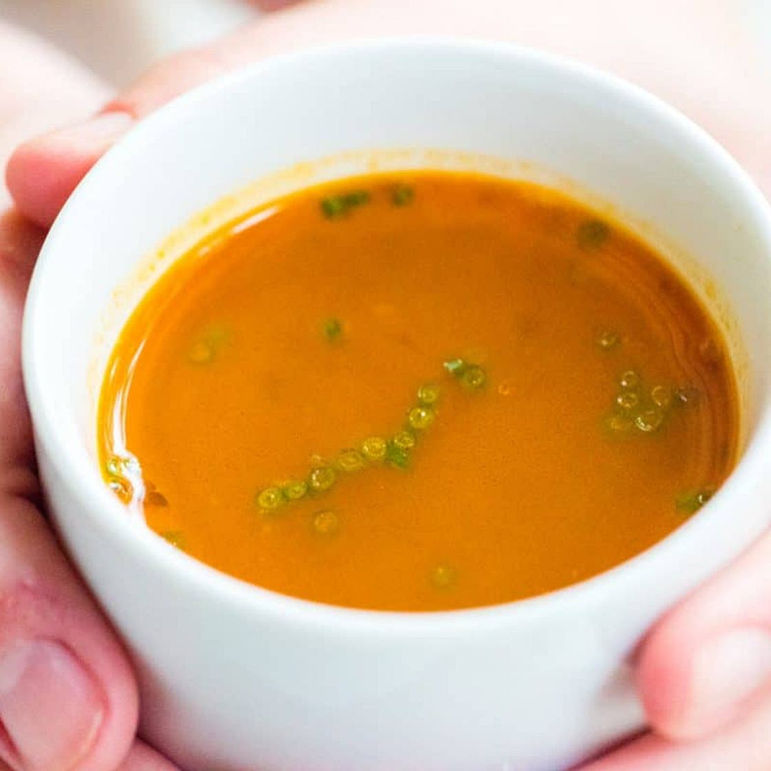 Italian Vegetable Soup Broth