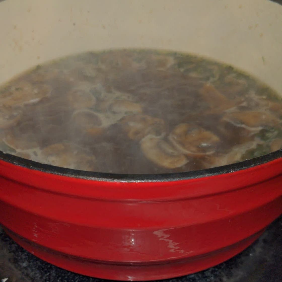 Beef Stroganoff Soup