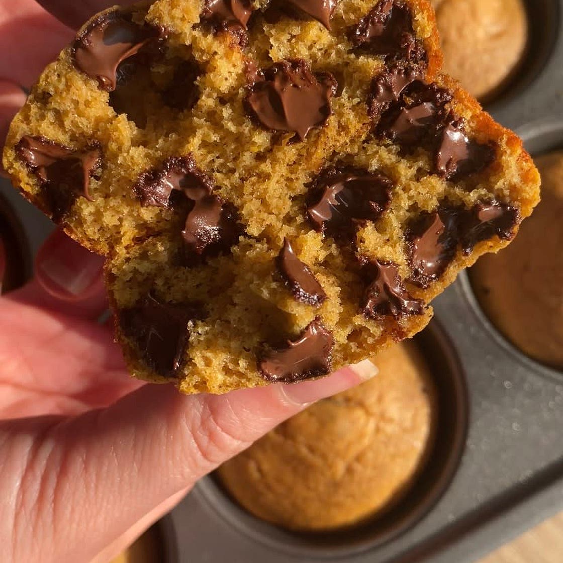 Chocolate Chip Pumpkin Muffins