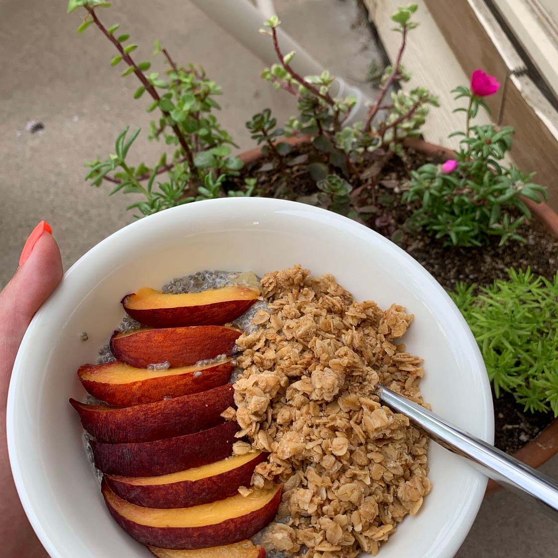 Chia Seed Pudding 
