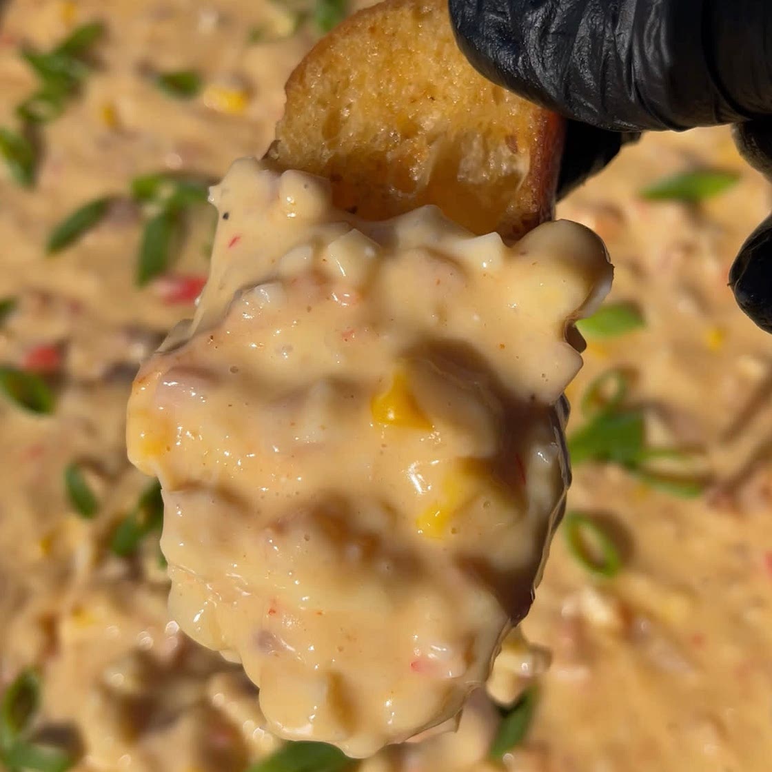 Seafood Boil Queso Dip