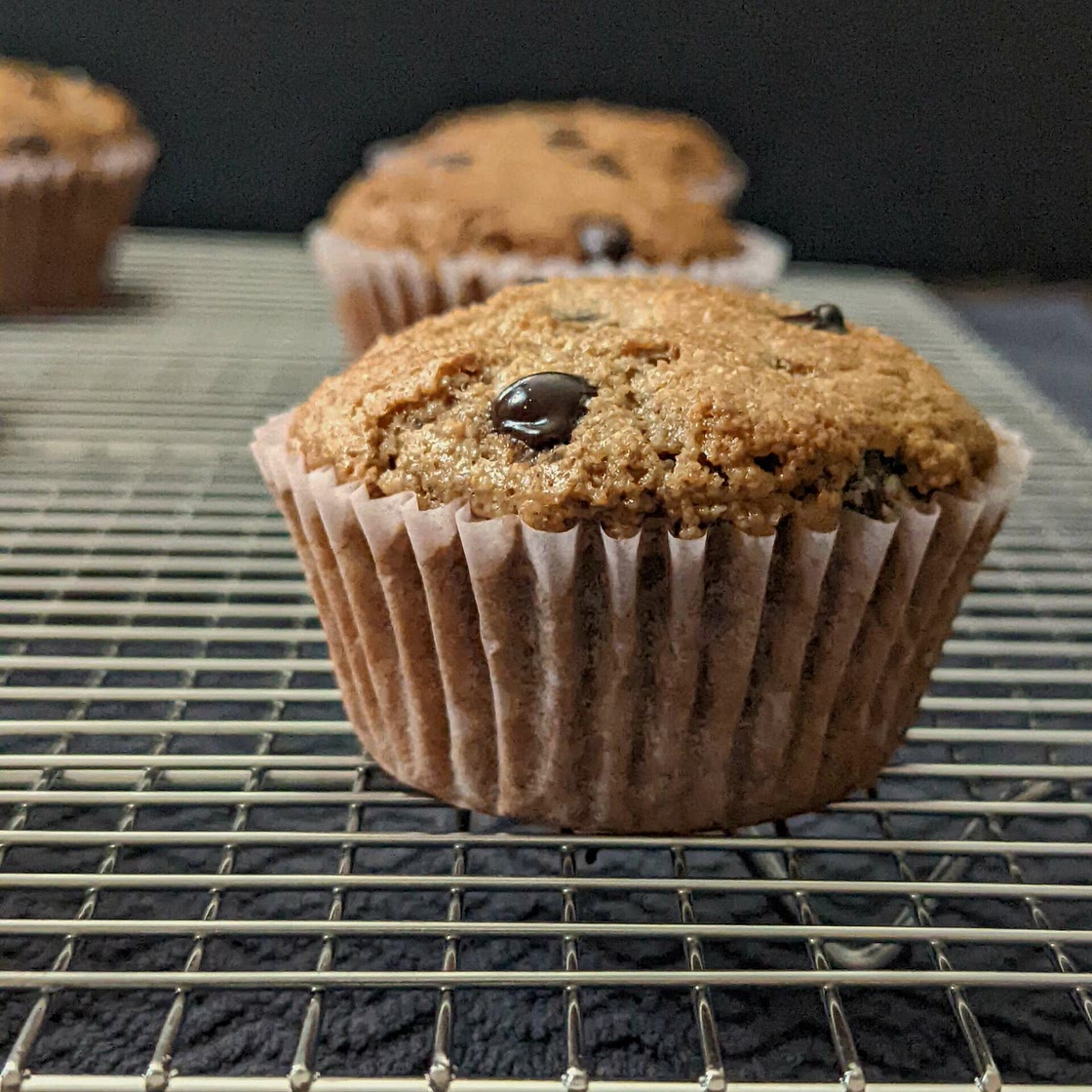Chocolate Protein Muffins