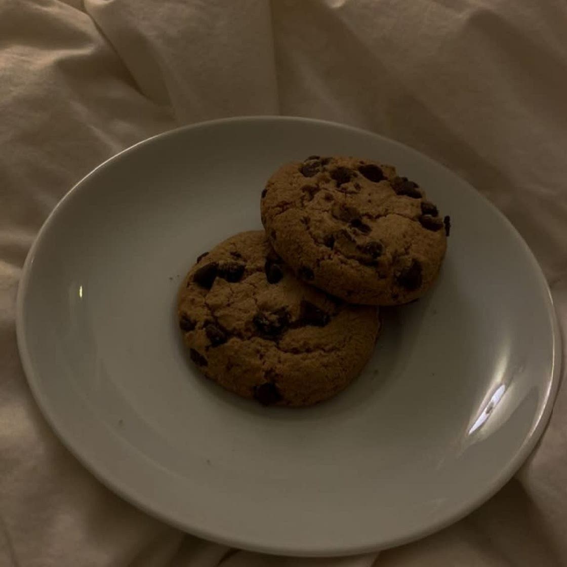 Chocolate cookies