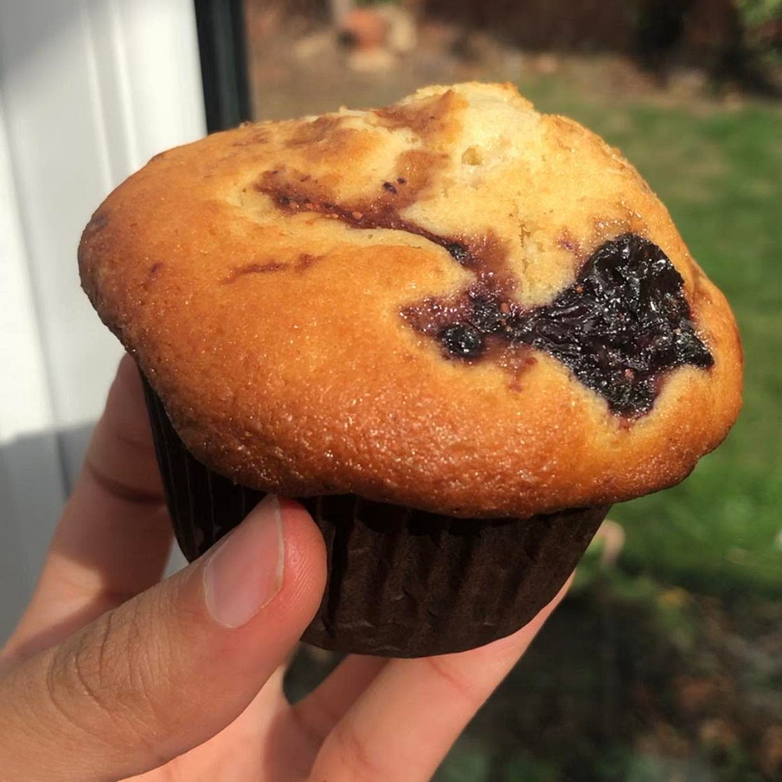 96 cal blueberry muffins