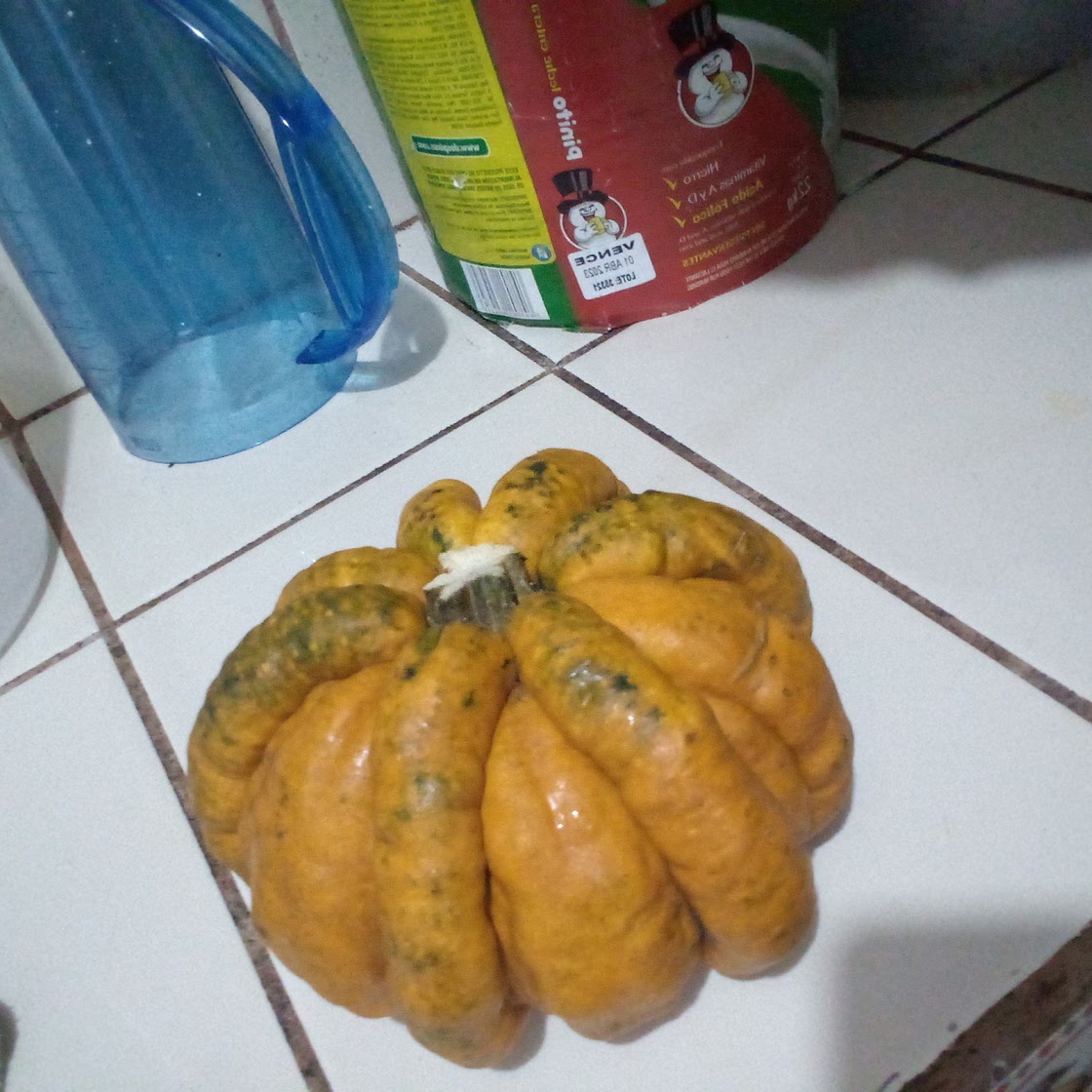 Güicoy (calabaza) en leche