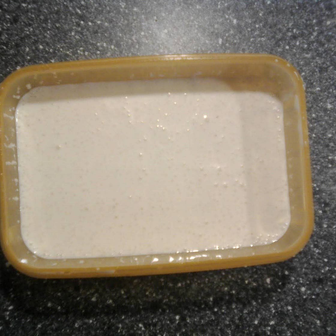 Vegan Mayonnaise with Aquafaba