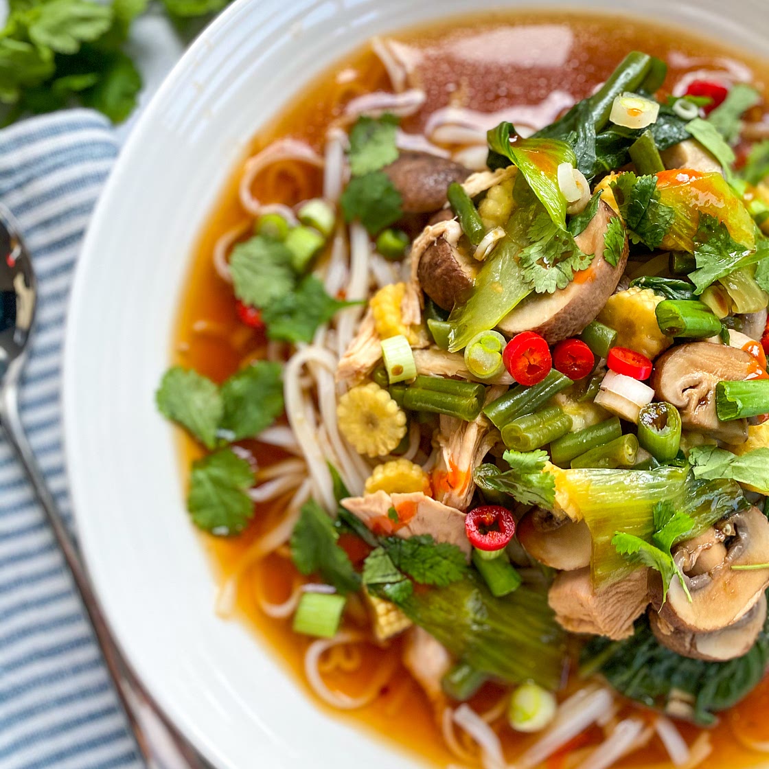Chicken Noodle Soup