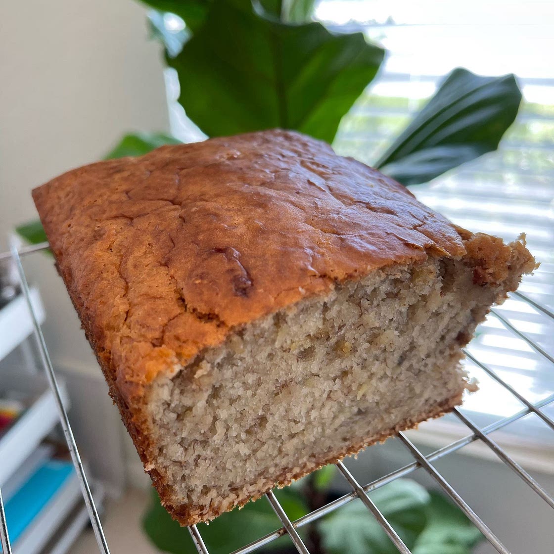 Vegan Sourdough Banana Bread