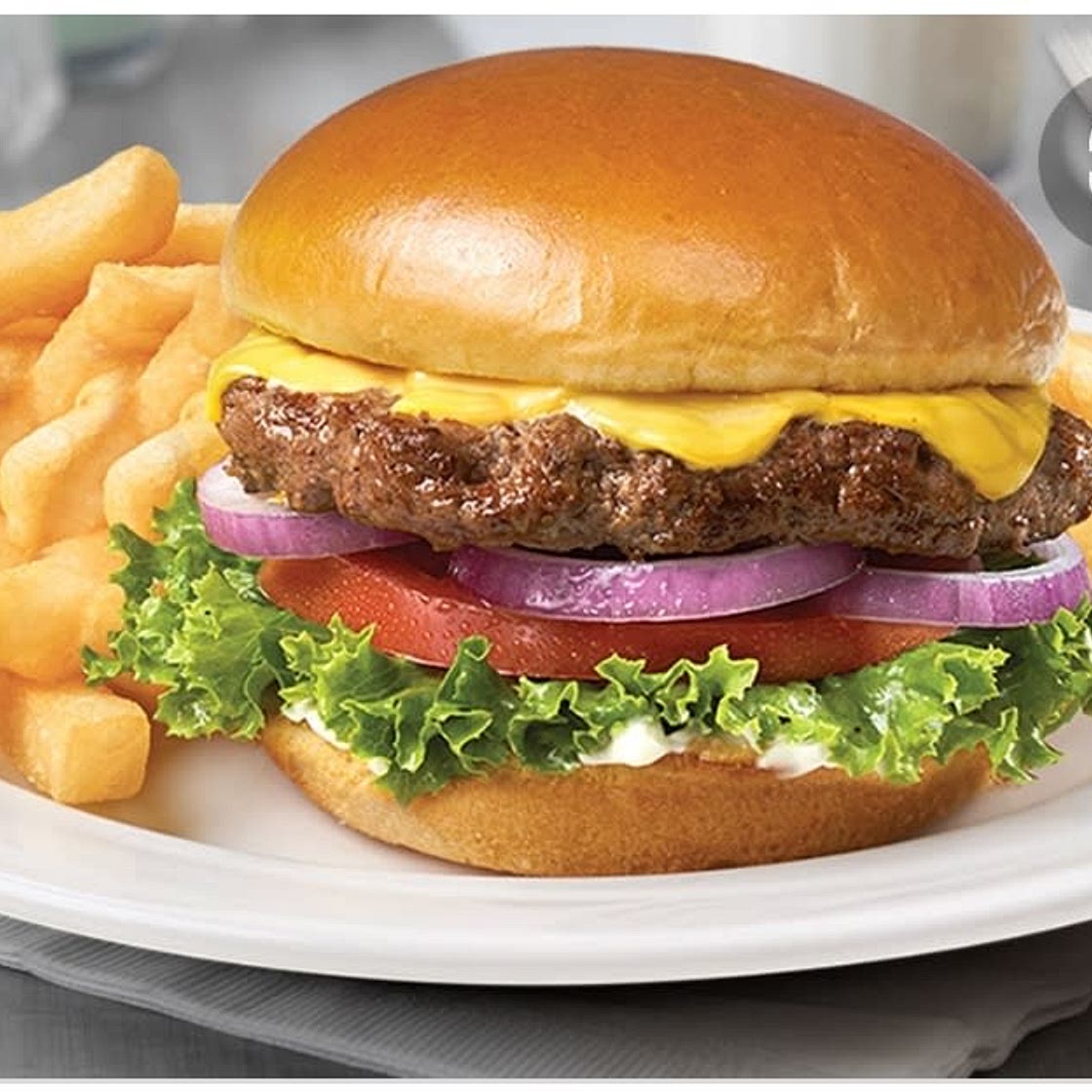Burger and fries