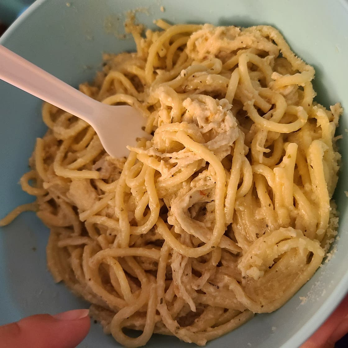 Crock Pot Garlic Parmesan Chicken Pasta