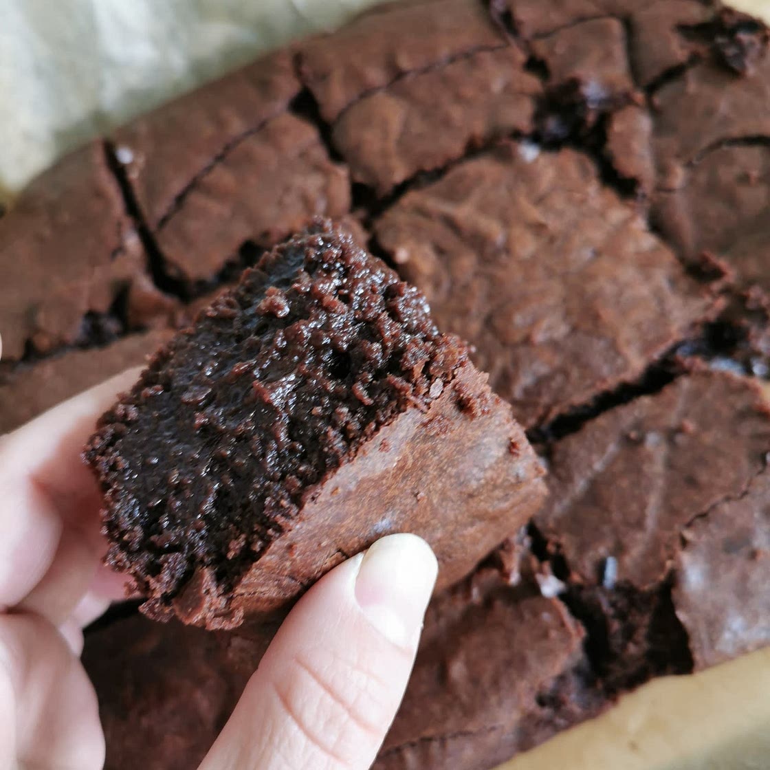 Gooey Chocolate Brownies