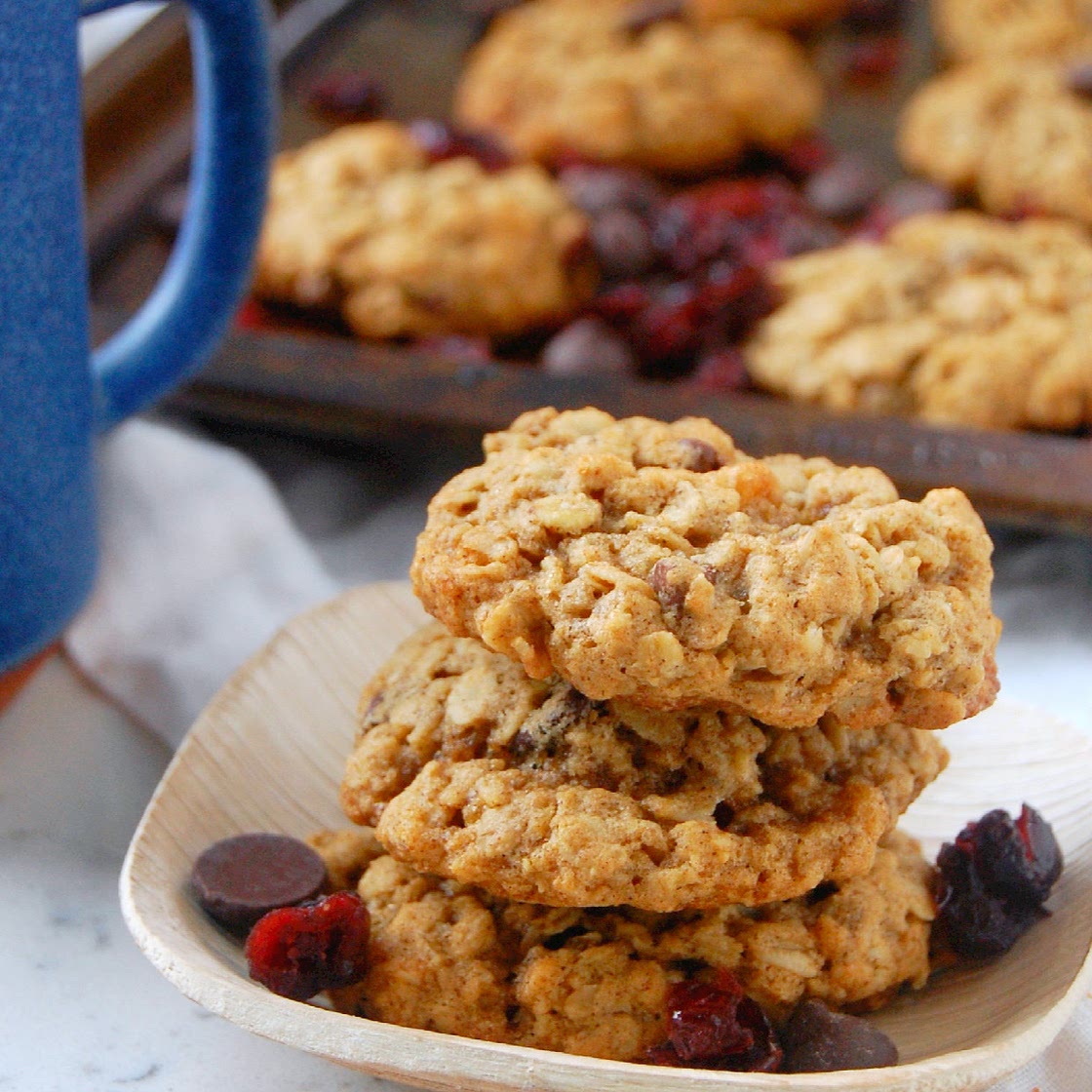 Oatmeal Cranberry Pecan Cookies