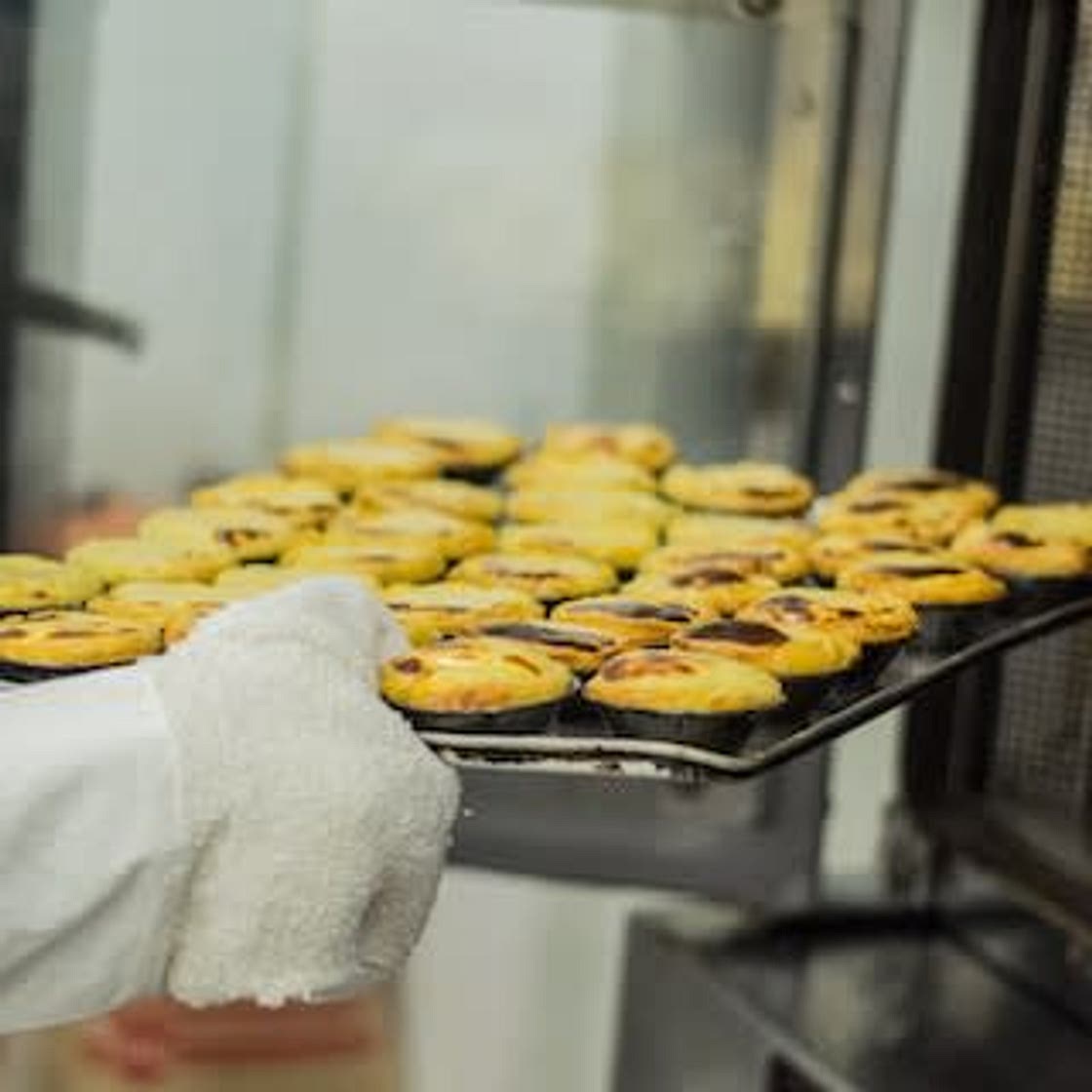 Mojo Muffins