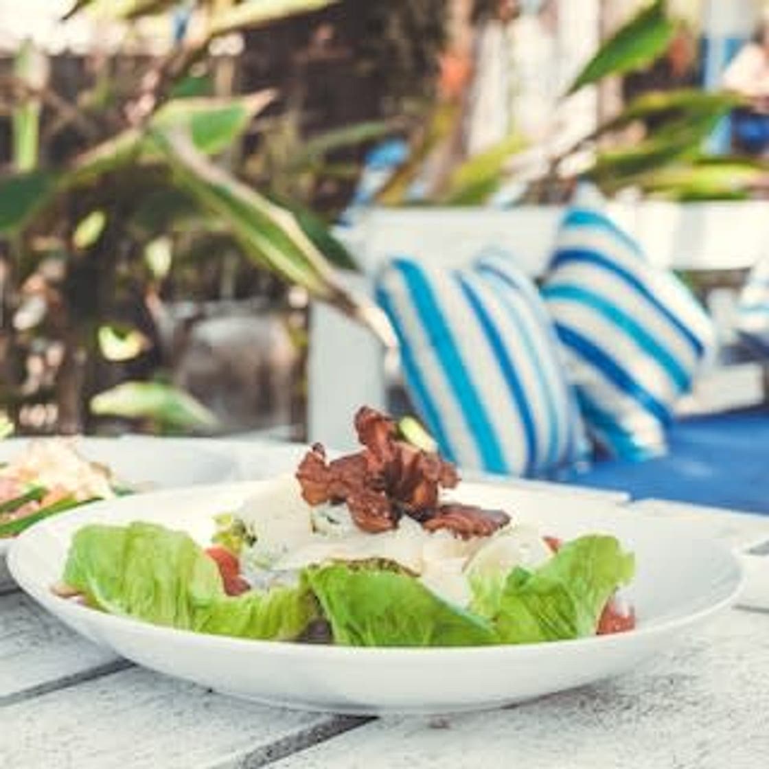 Romaine Boats