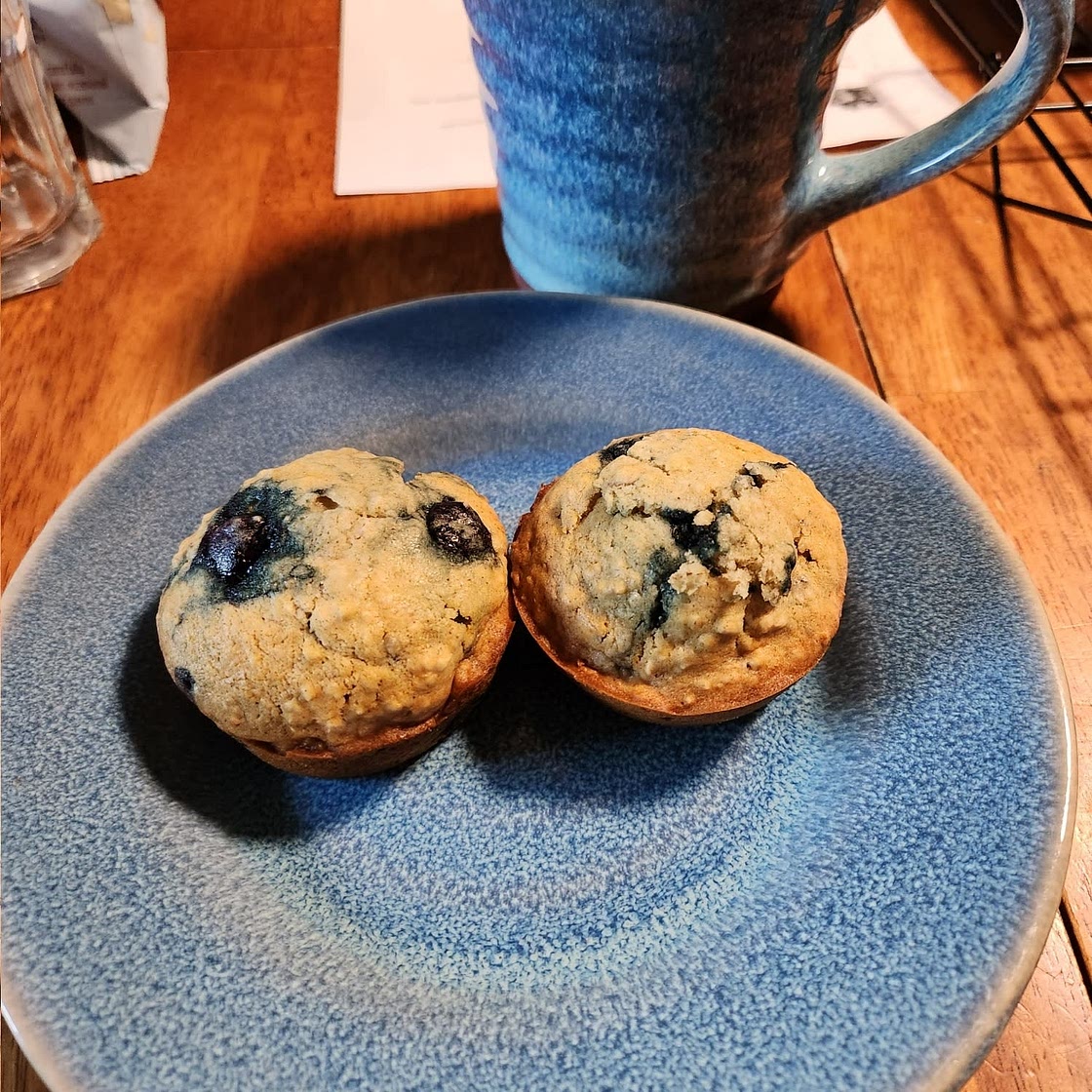 Blueberry Oatmeal Muffins
