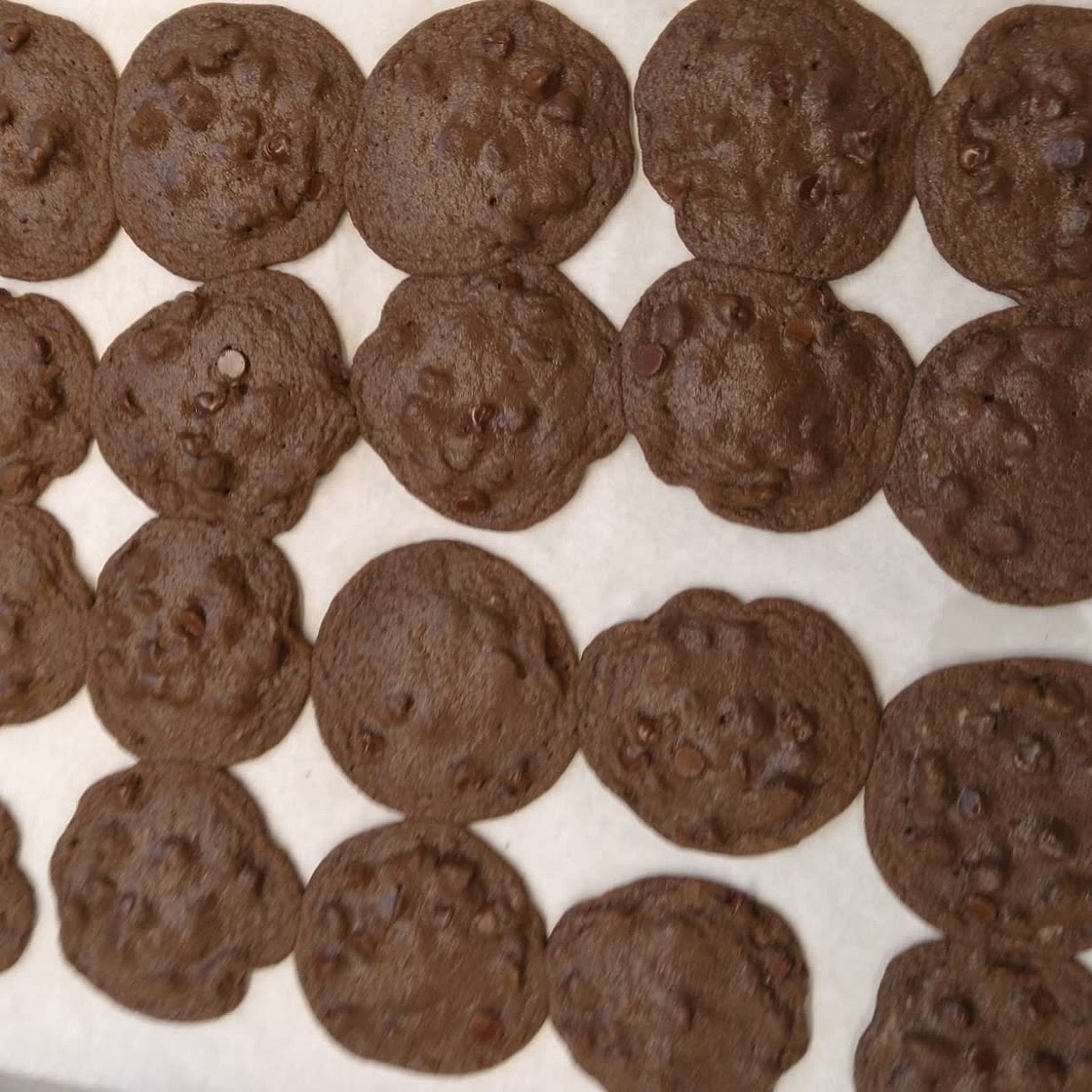 Chewy Double Chocolate Chip Cookies