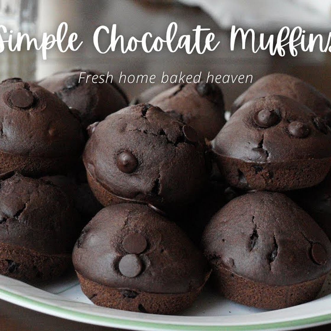 Chocolate Chip Muffins