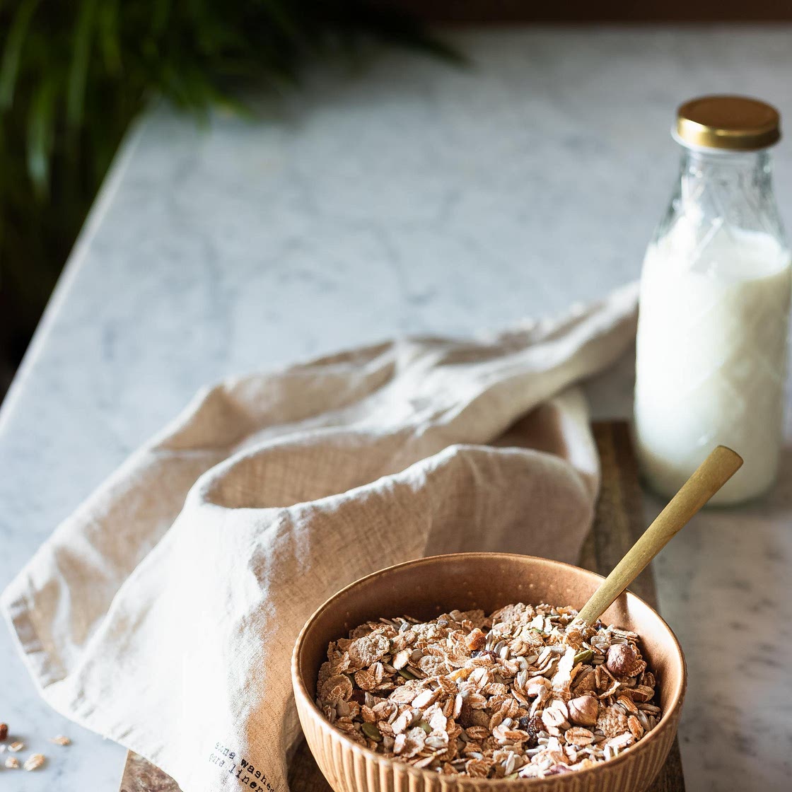 Fruit Free Muesli