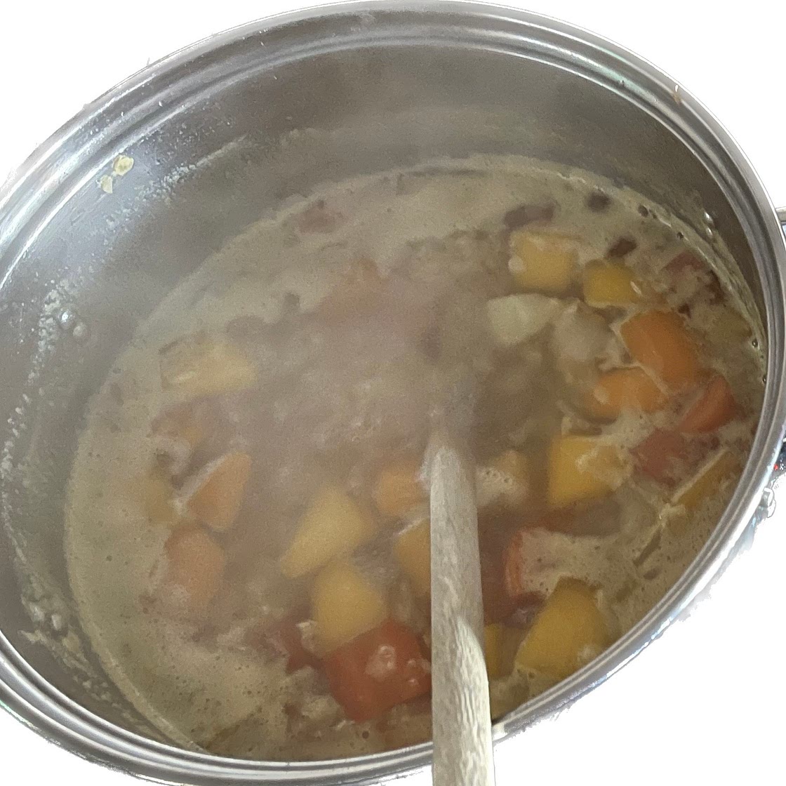 Homemade Soup