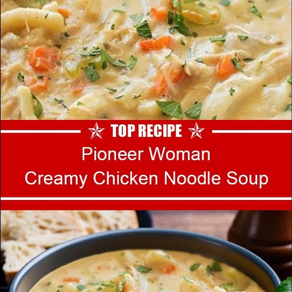 Creamy Chicken Noodle Soup Pioneer Woman