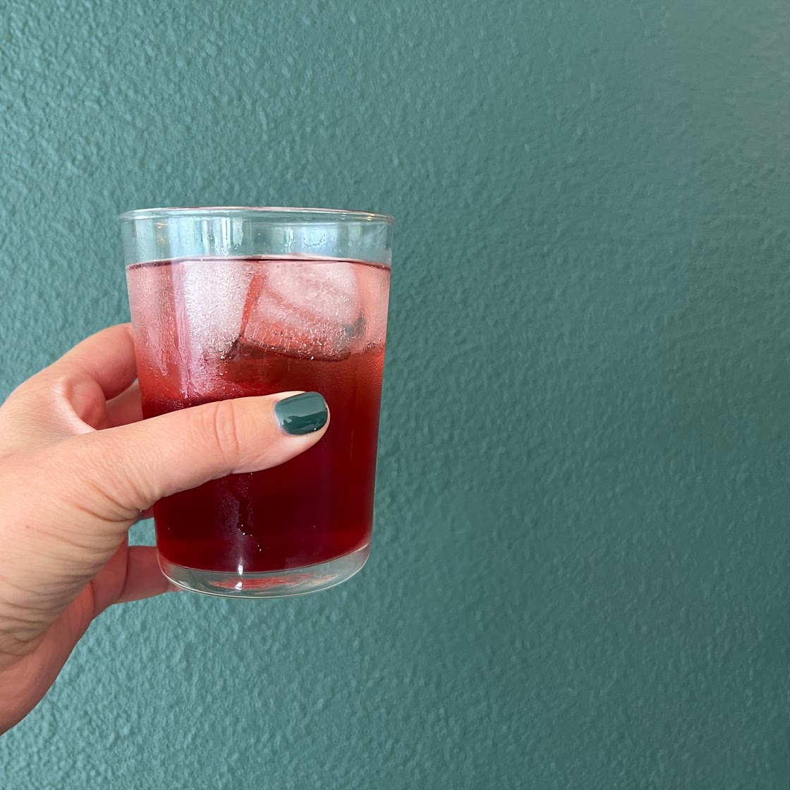 Hibiscus Tepache