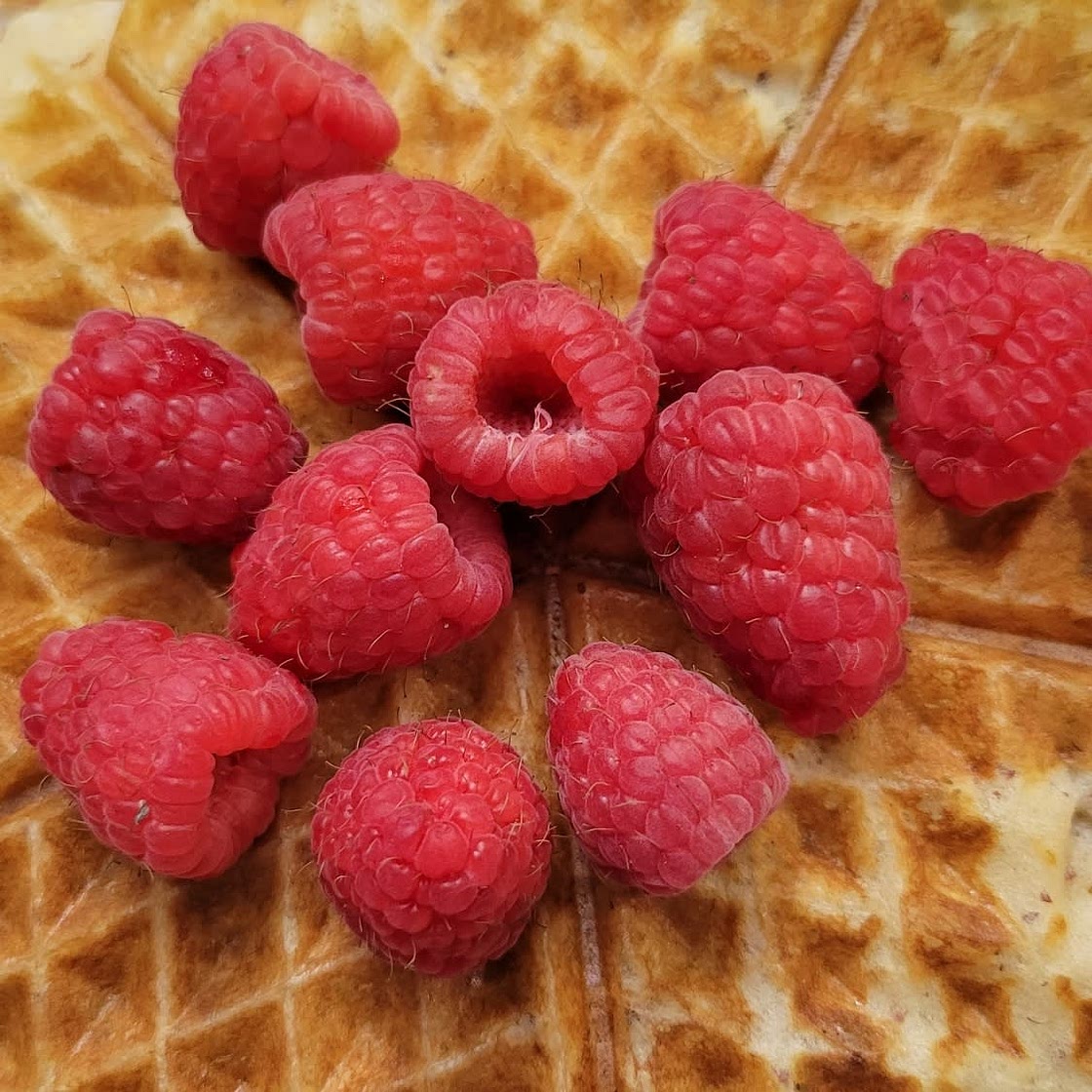 Waffles and Recreation | Veg Out