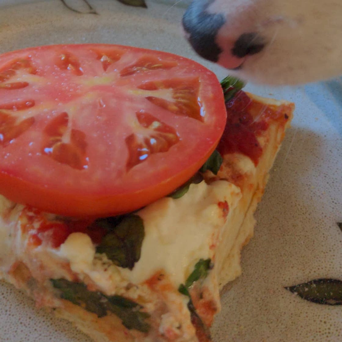 Quick & Easy Pizza Dough