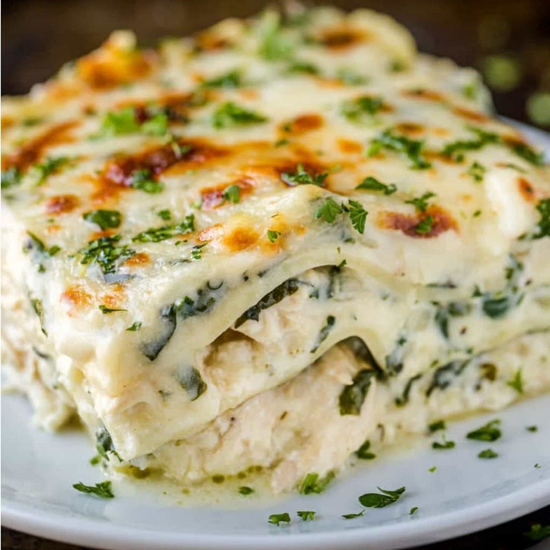 Chicken spinach lasagna 350cal/21 servings