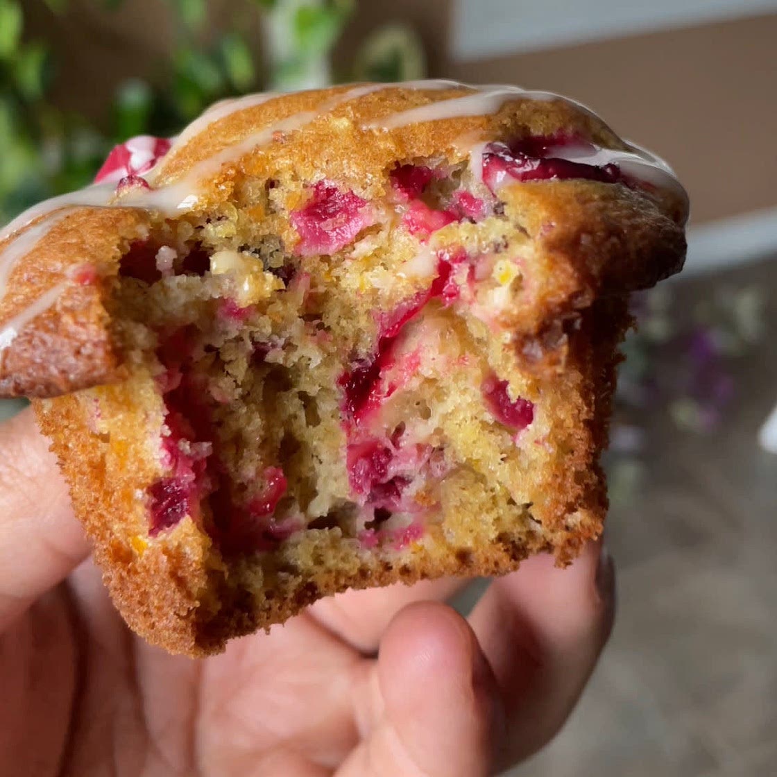 Cranberry Orange Muffins 