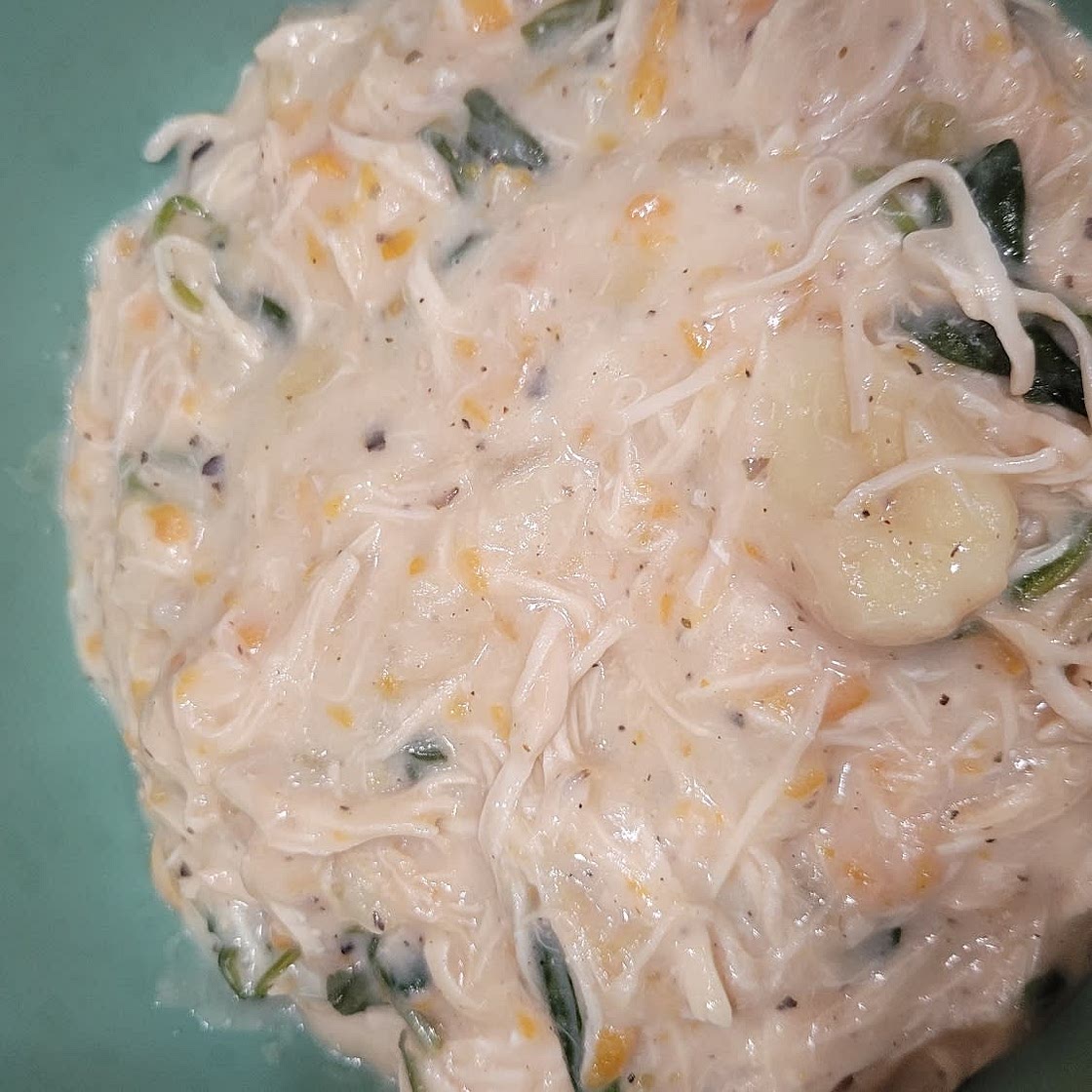 Crockpot Chicken Gnocchi Soup