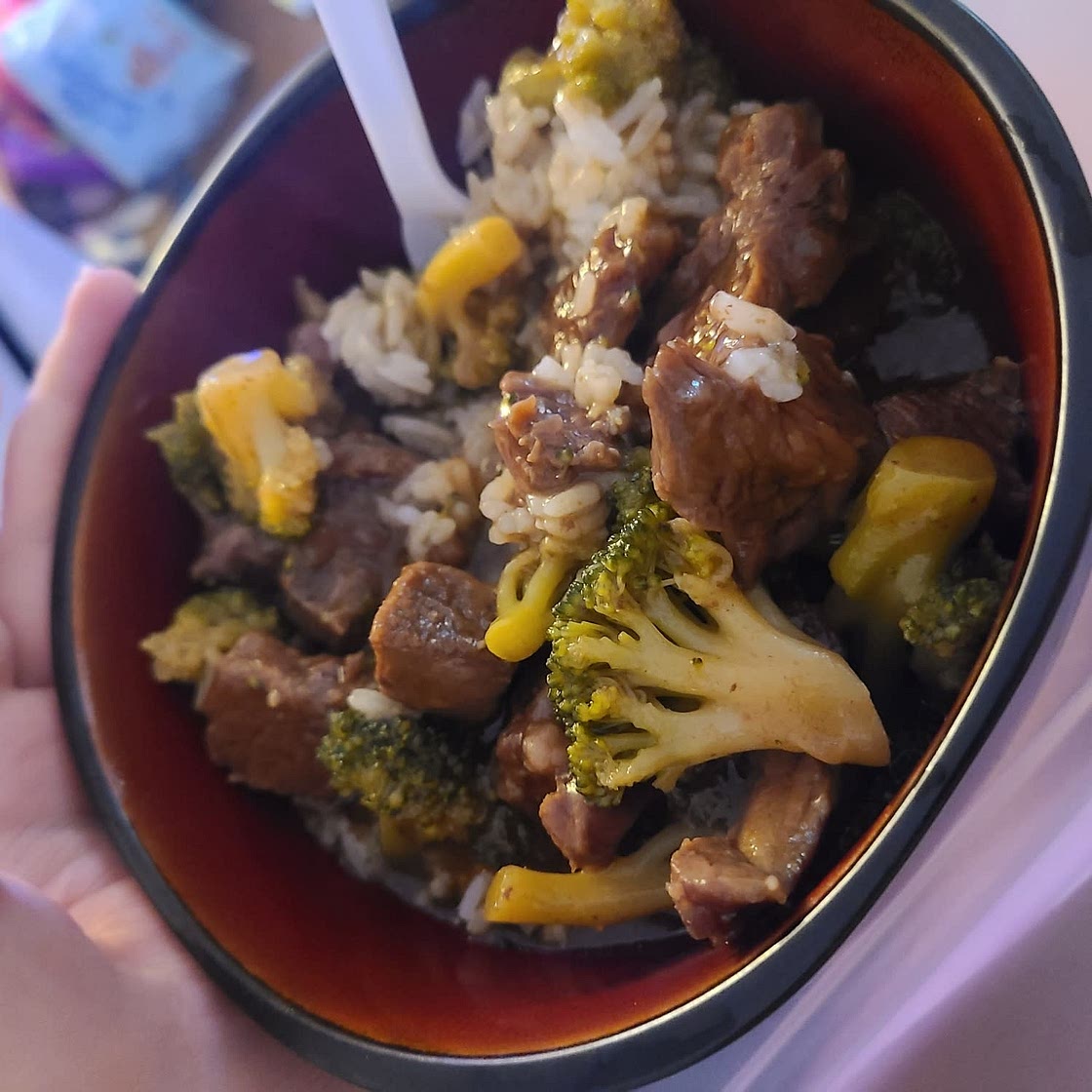 Crock Pot Beef and Broccoli