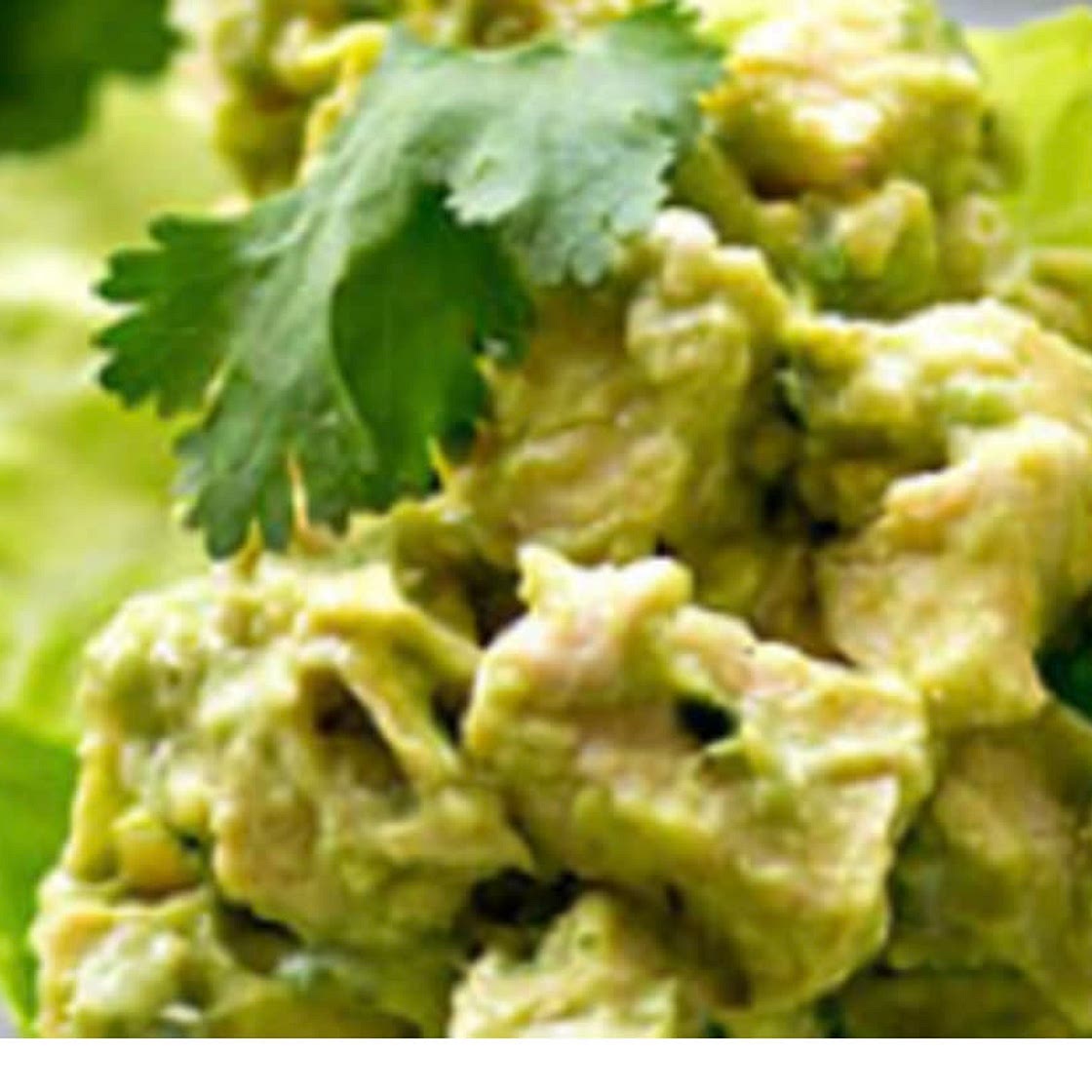 Avocado wrap