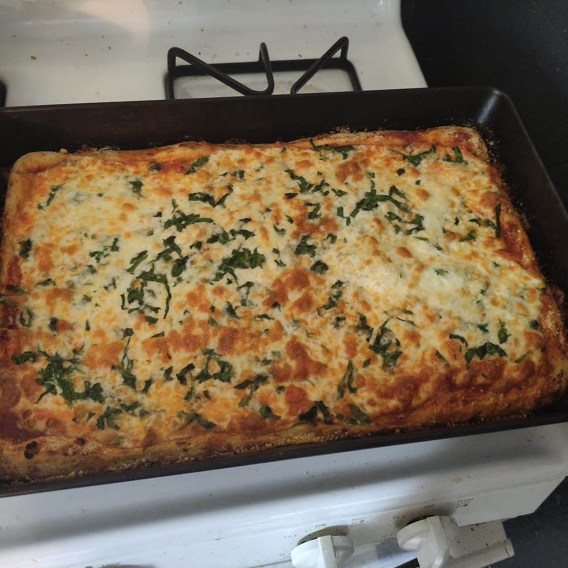 Sourdough Pizza Crust