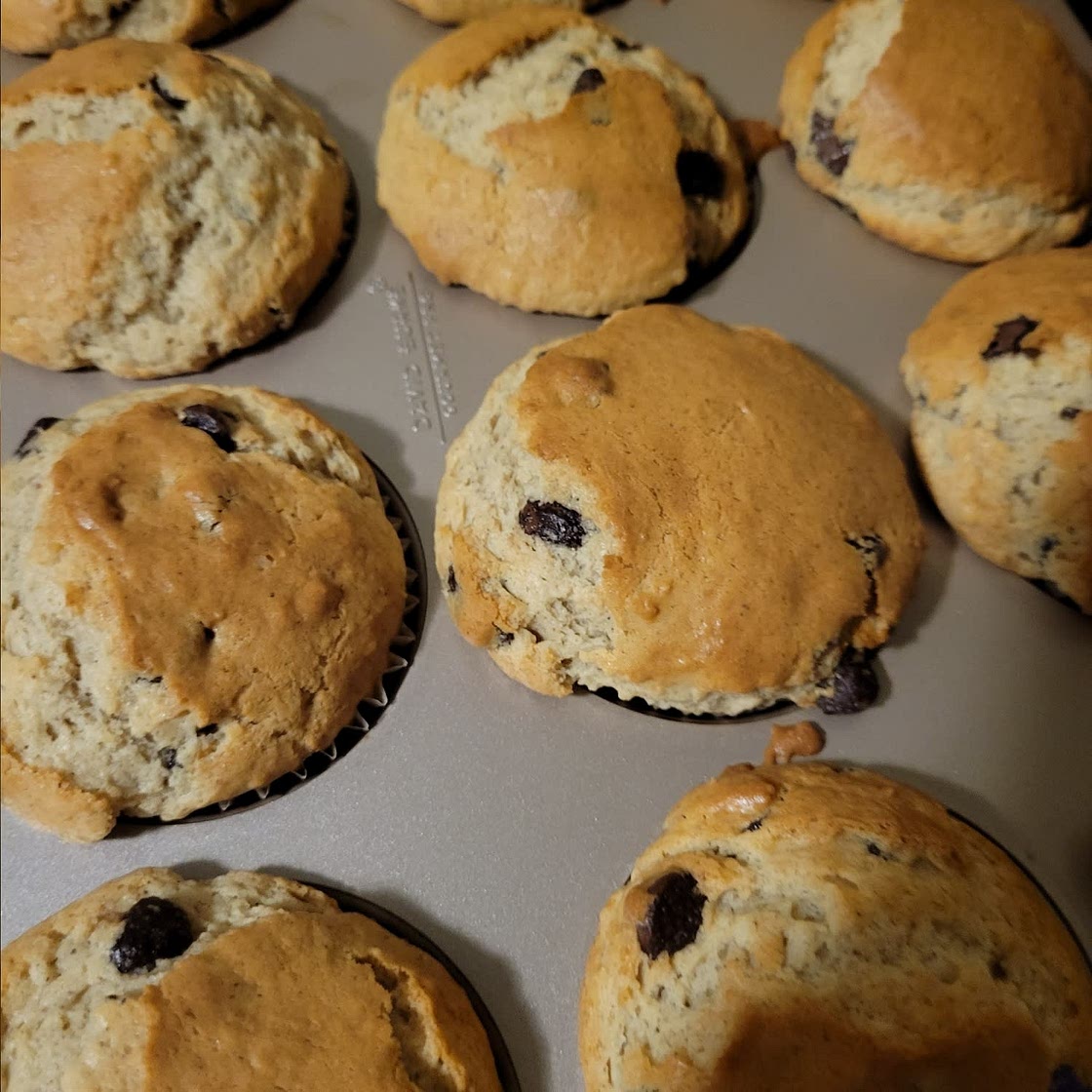 Chocolate Chip Muffins