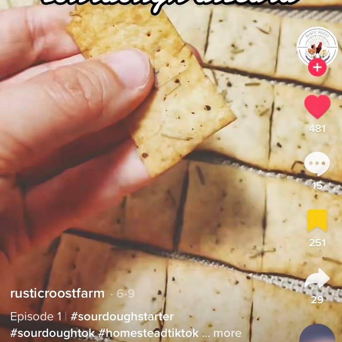 Sourdough Discard Crackers