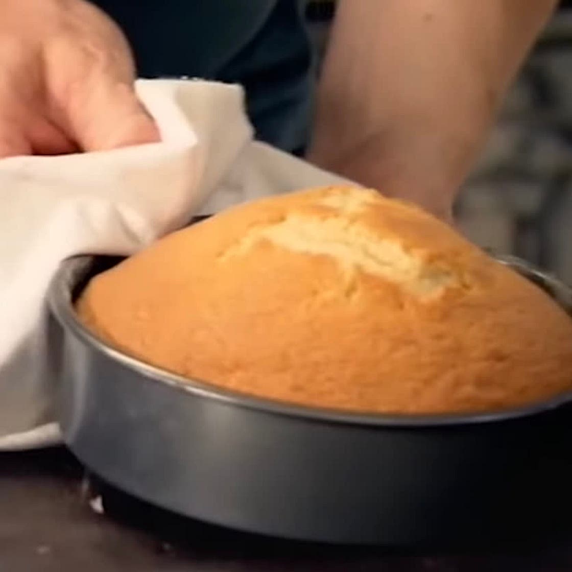 Sponge cake for torts